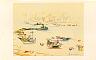 Tug and moored boats